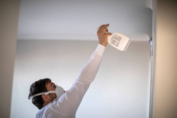 Best Same-Day Mold Removal  in Many, LA