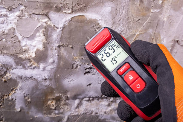 Best Crawl Space Mold Removal  in Many, LA